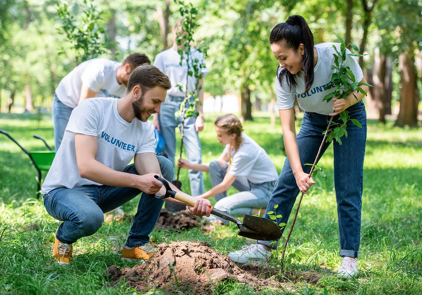 young volunteers planting trees in green park together