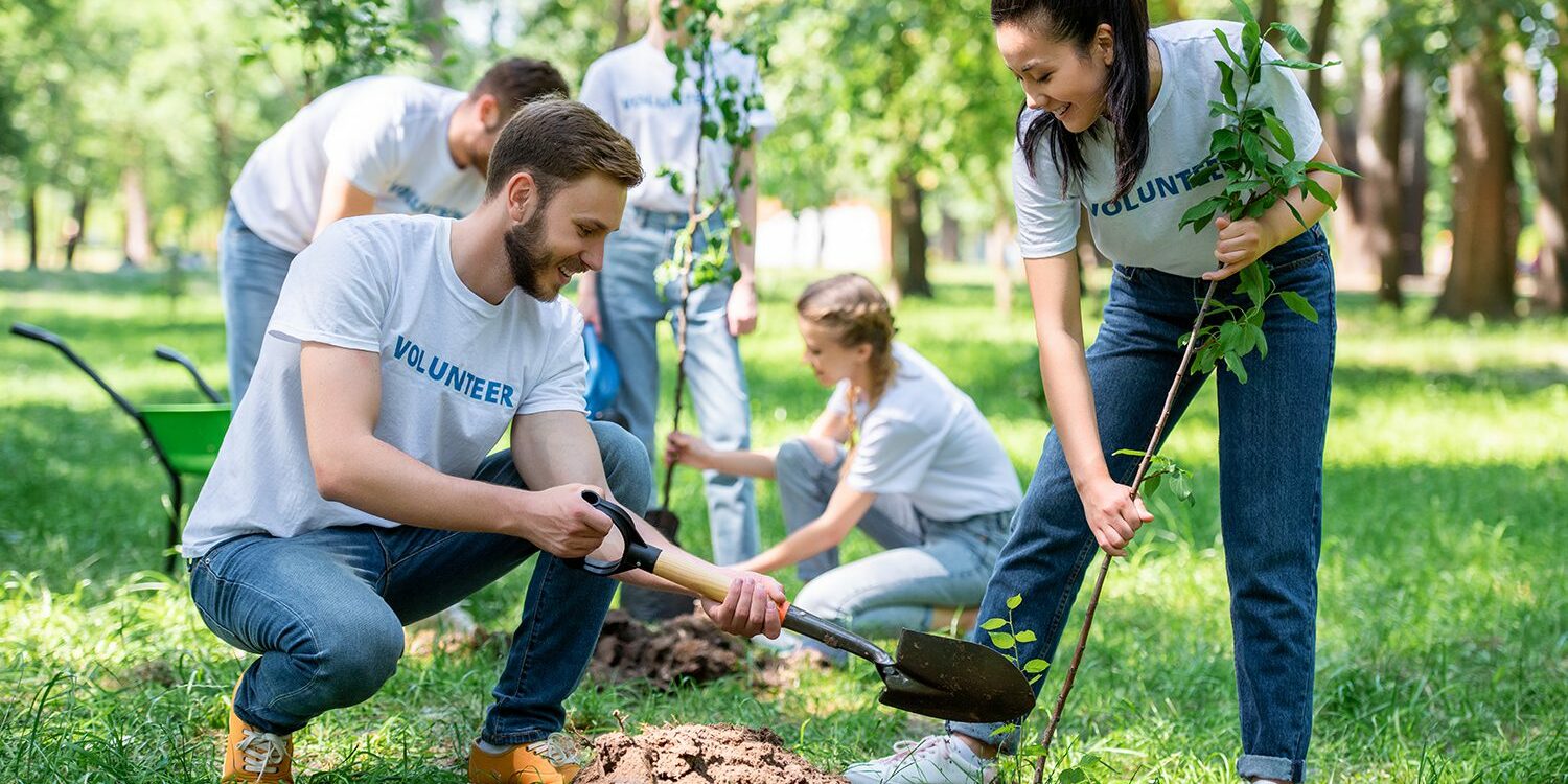 young volunteers planting trees in green park together